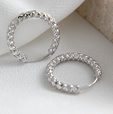 Modern  Circle 925 Sterling Silver Hoop Earrings